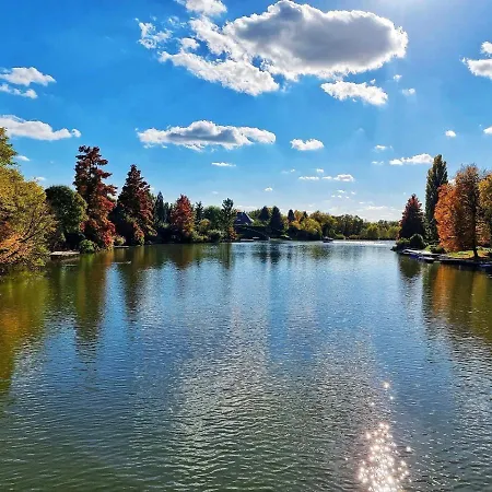 Csuka48 Сарваш